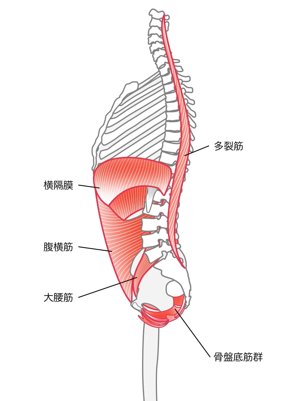 知っておきたい！腰痛の改善、予防のエクササイズ　都城市｜整体