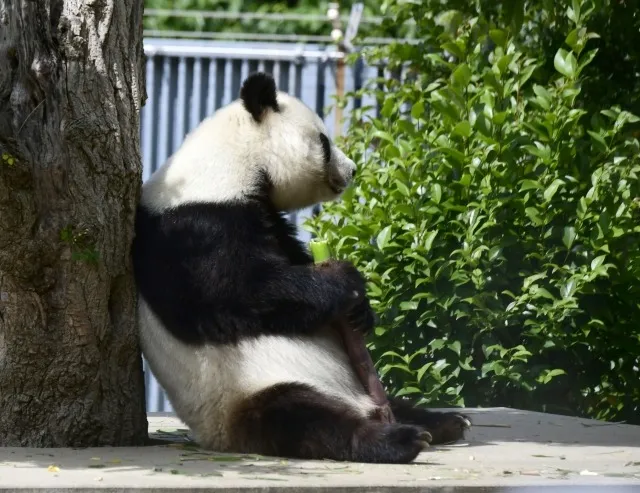 【都城市の腰痛治療院が解説】仙骨座りが引き起こす腰痛の原因と今日からできる対策