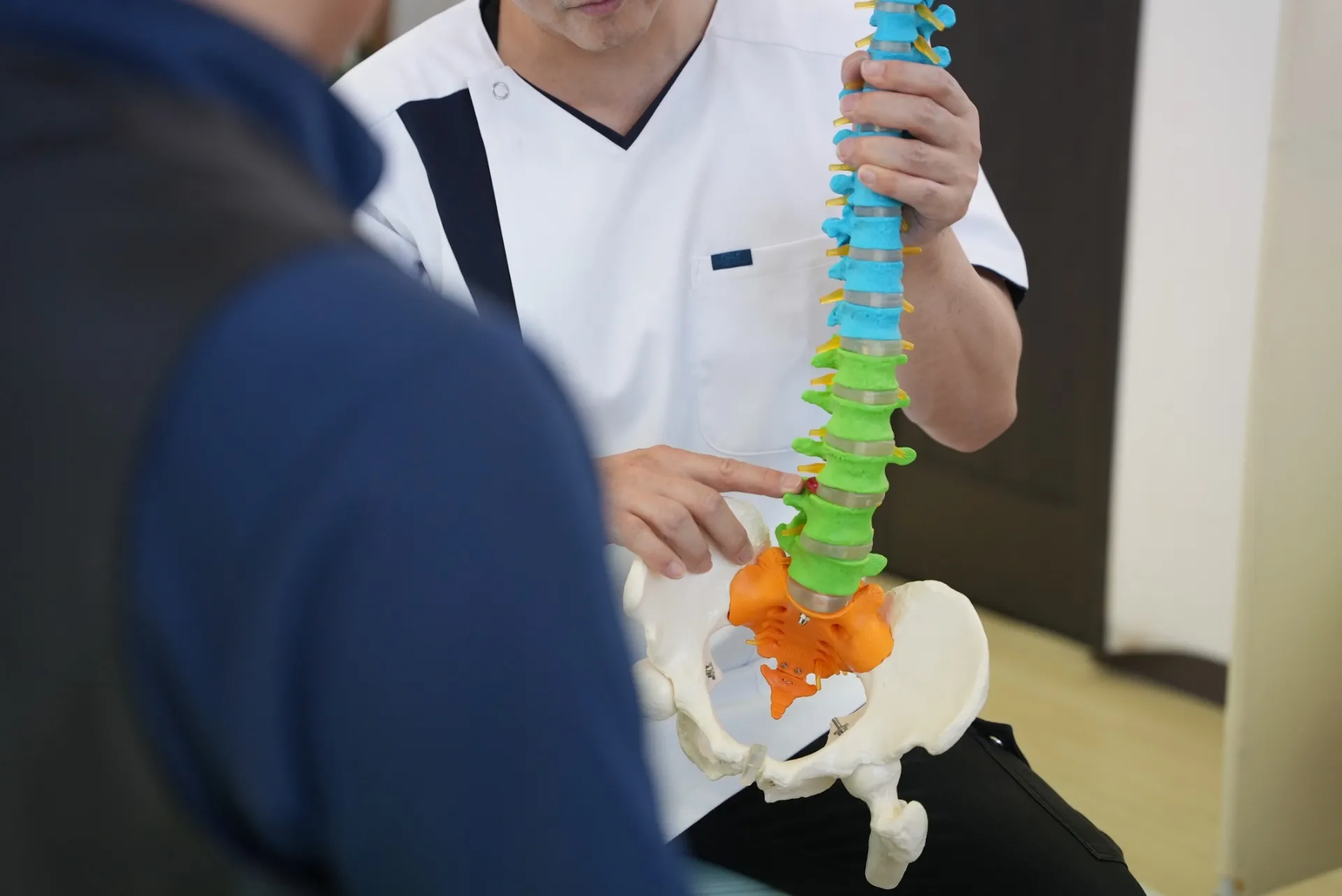 都城市の腰痛治療院が解説する,椎間板ヘルニアの原因と症状