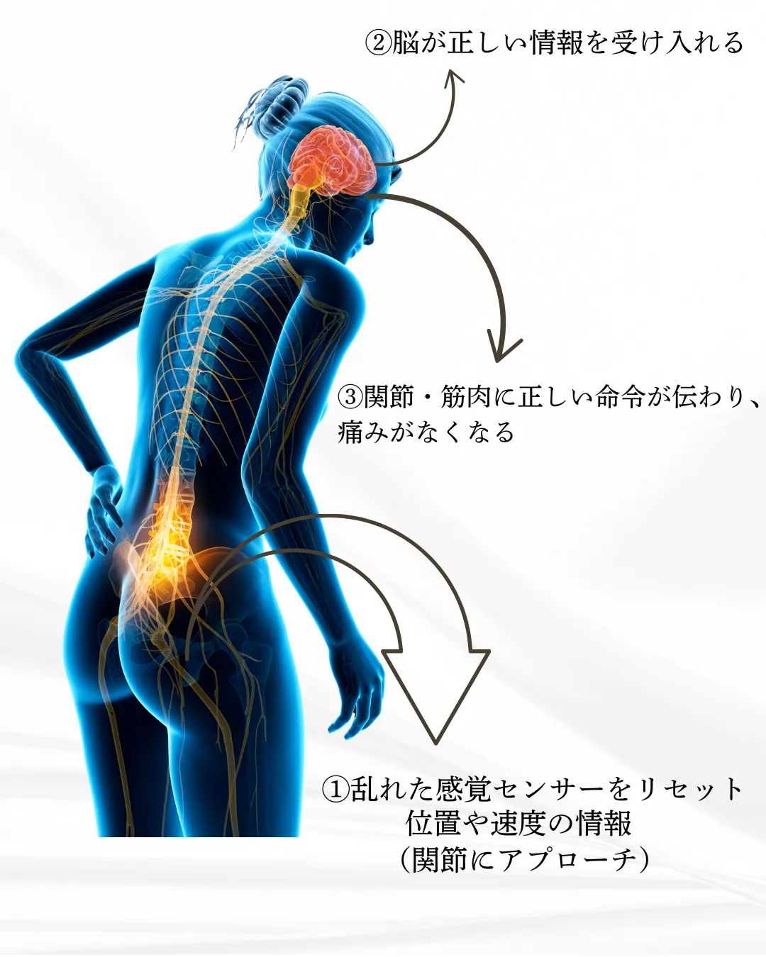 痛みの原因！【感覚センサー】のリセット｜都城市　奏でる整骨院